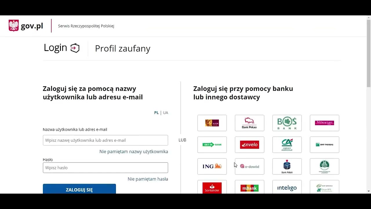 How to download the CEIDG application in PDF to biznes gov pl?