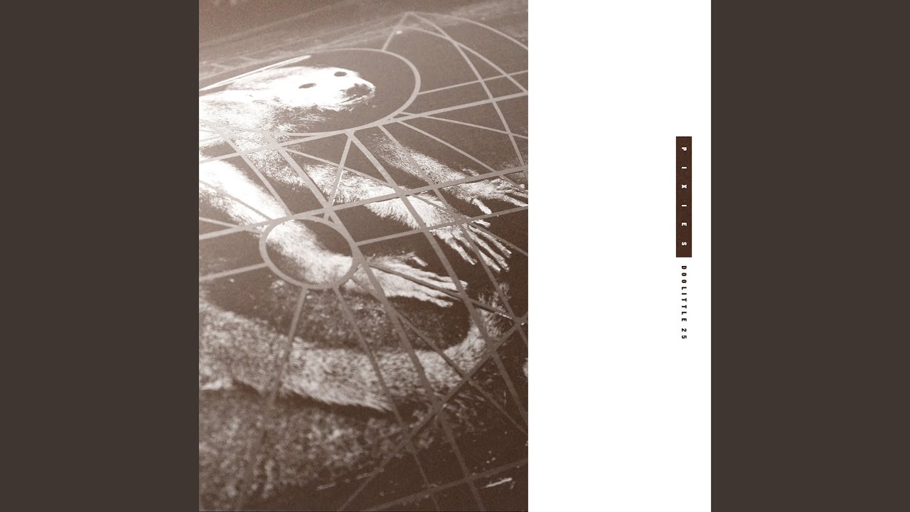 Into the White (Peel Session)