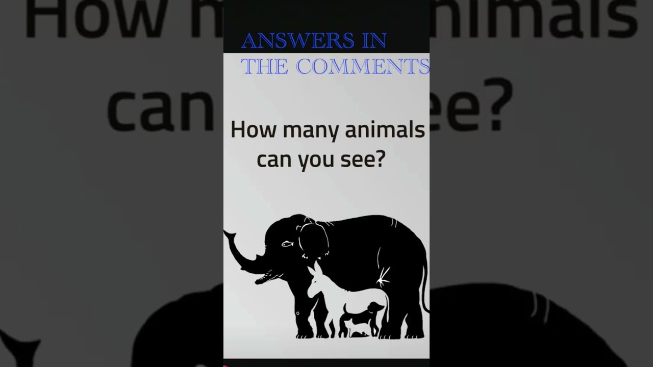 #how many can you find #song #short #music