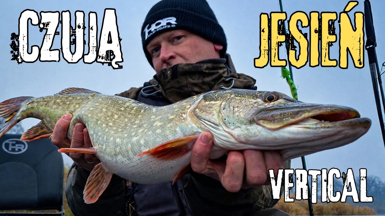 SZCZUPAK Z ODRY #pikefishing #vertical #verticallive