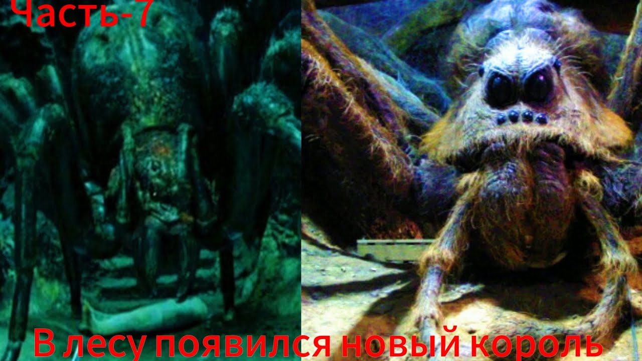 (39-52)Зачистка леса ради ингредиентов Альтернативный сюжет Гарри Поттер