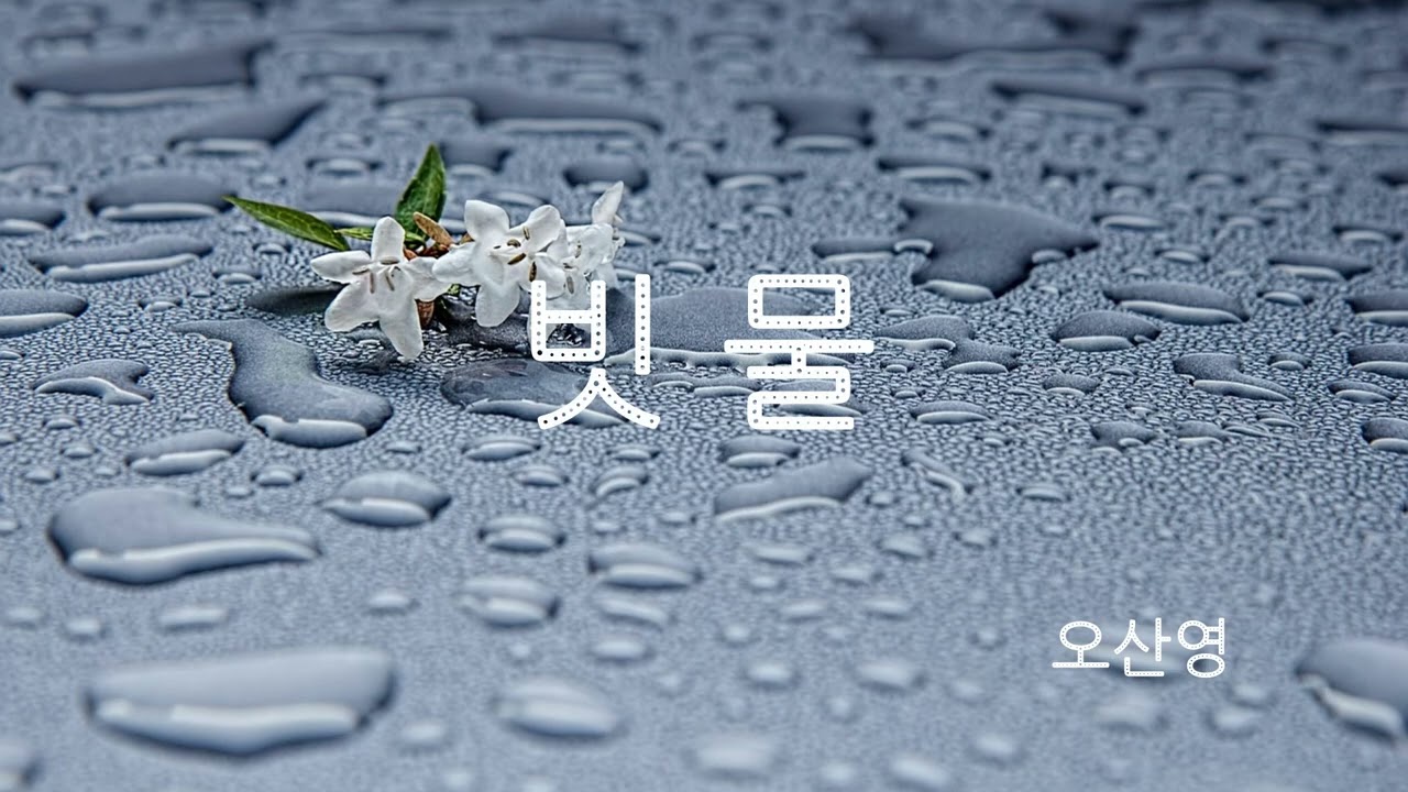 빗물  오산영 (송골매)