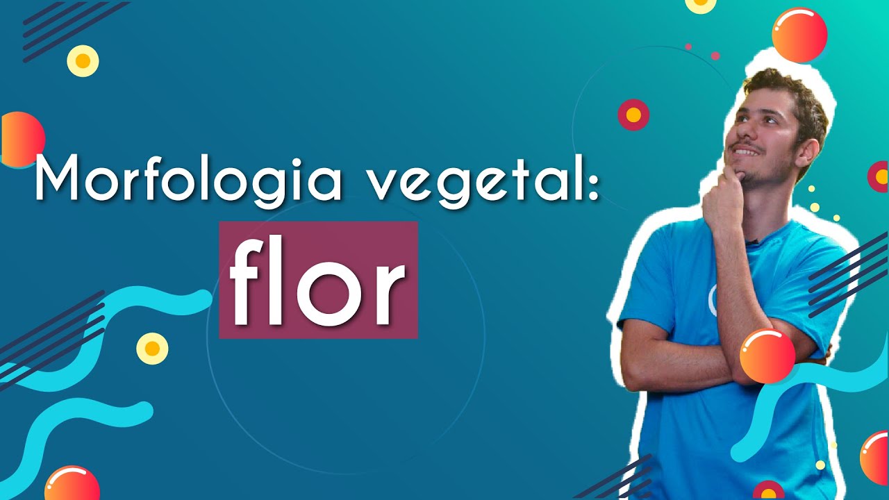 Morfologia vegetal: flor - Brasil Escola