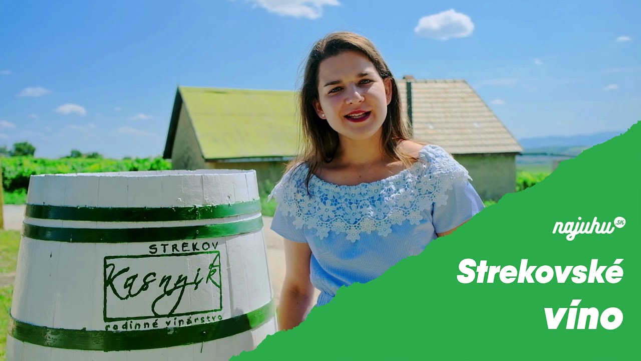 Rozhovor s Tomášom Kasnyikom o víne v obci Strekov I #2 Zo série Vinárstva južného Slovenska