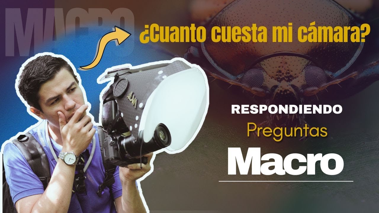 ¿Cuanto vale mi equipo de MACRO Fotografía? Respondo preguntas