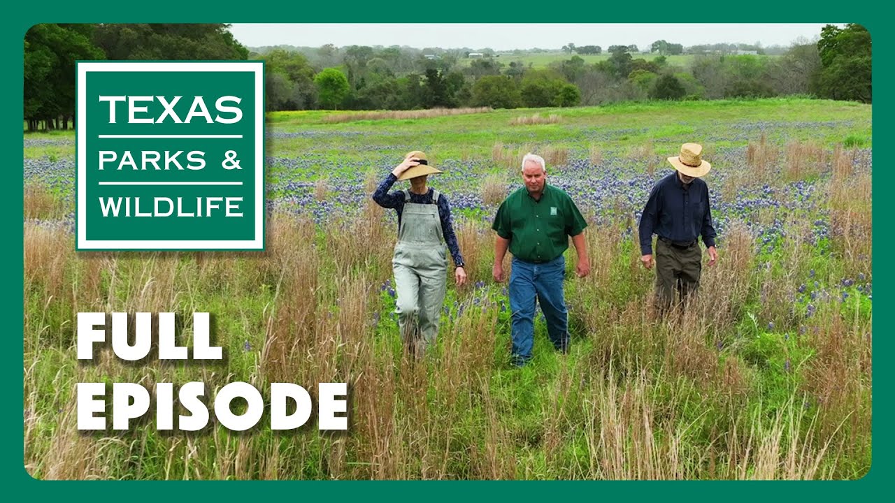 PBS Show - Restoring Texas Prairies & More