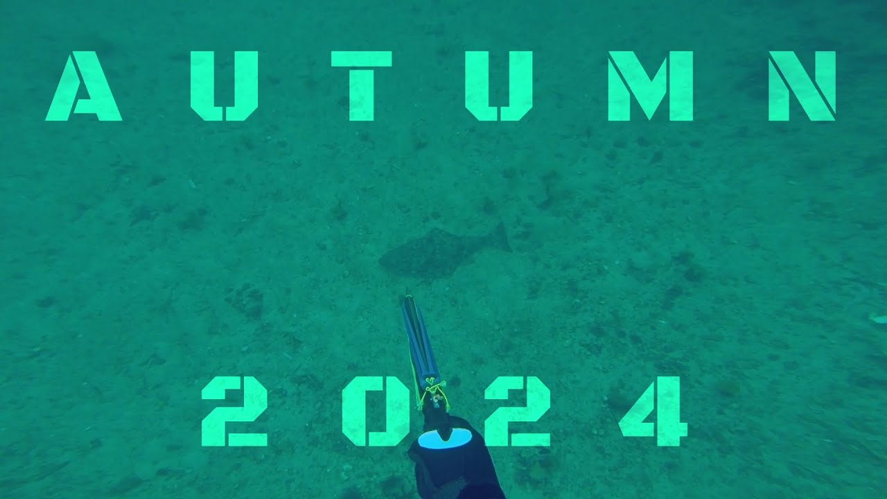 Spearfishing Northern Norway in Autumn. Shooting Cod, Pollock AND HALIBUT! + Surprise observation
