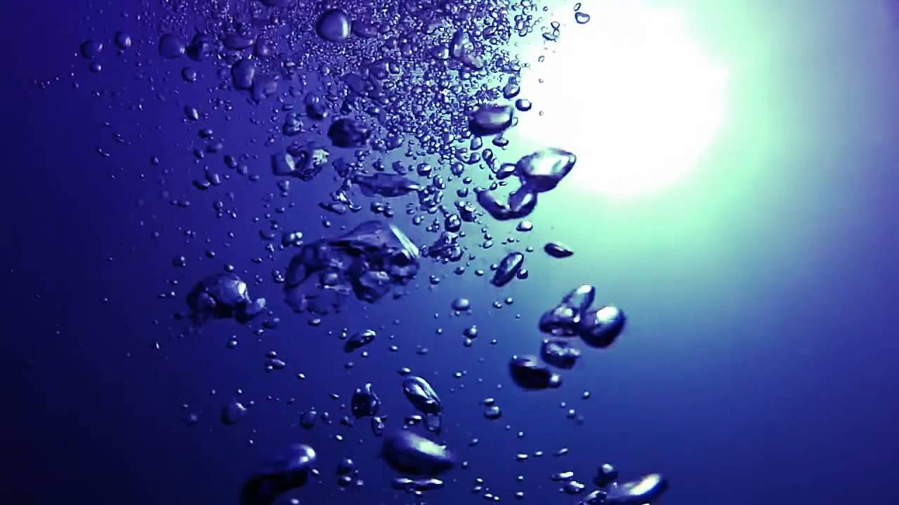 WasserSportZentrum 