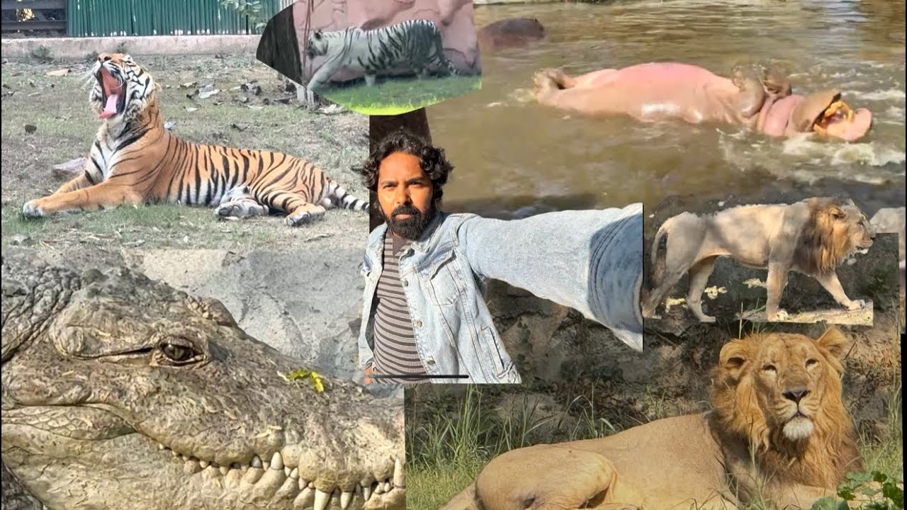 Delhi zoo mein agye (2026)