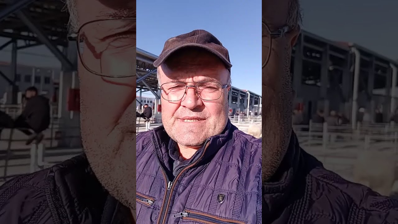 ÇORUM HAYVAN PAZARI KÜÇÜKBAŞ 22 EYLÜL ÇEKİMİ 23 EYLÜL 2025 