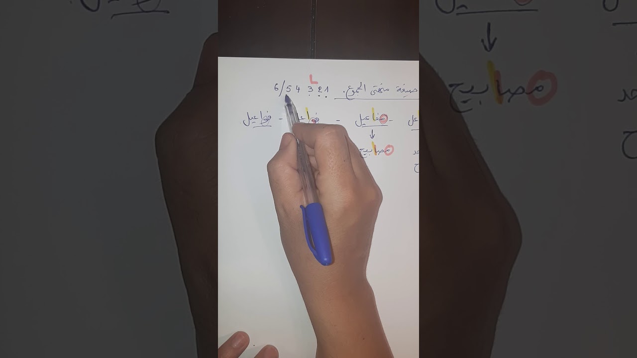 اسم الجمع، صيغة منتهى الجموع  وجمع القلة ( آداب وفلسفة)