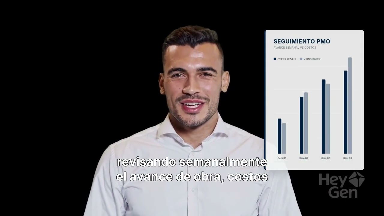 Ejemplo De Roles PMO