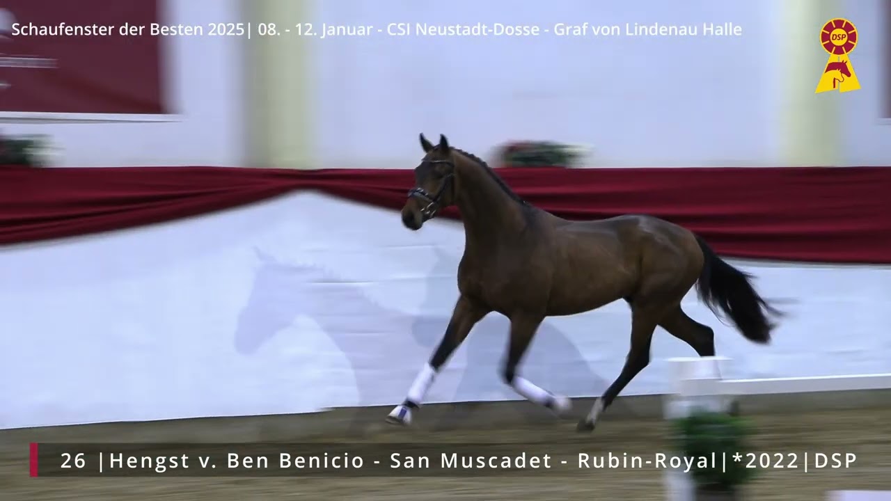 26 Hengst v. Ben Benicio - San Muscadet