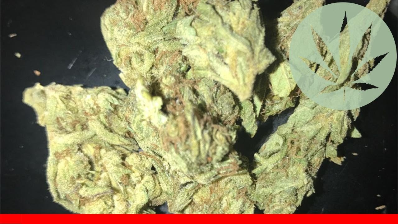 Purple Trainwreck - All About This Strain
