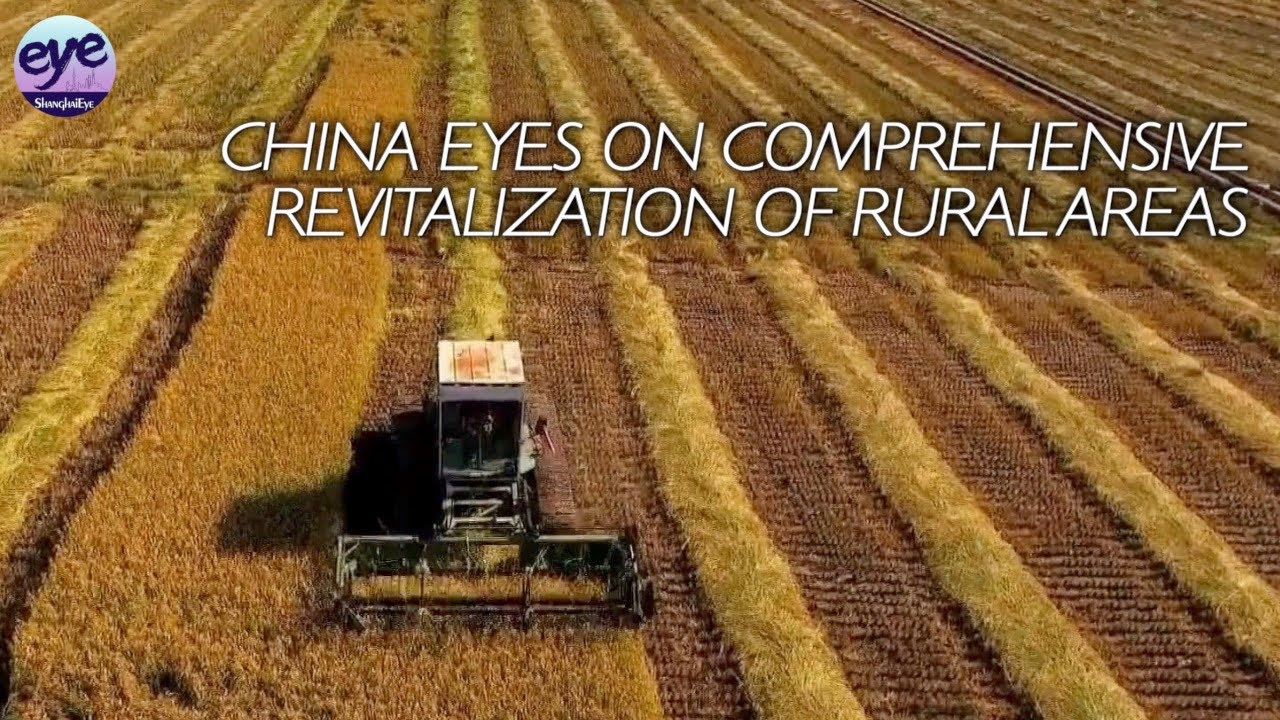China aims to achieve solid progress in all-around rural revitalization by 2027