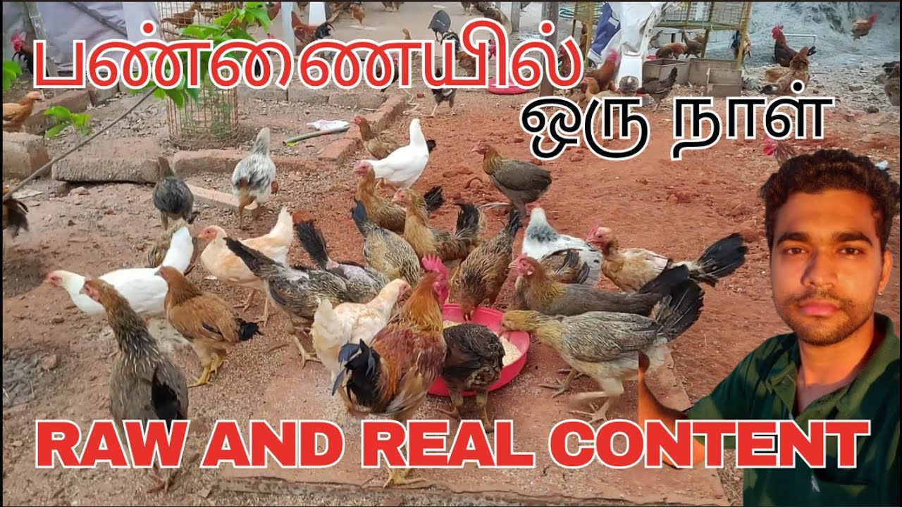 ❤️பண்ணையில் காலை வேலைகள் ❤️