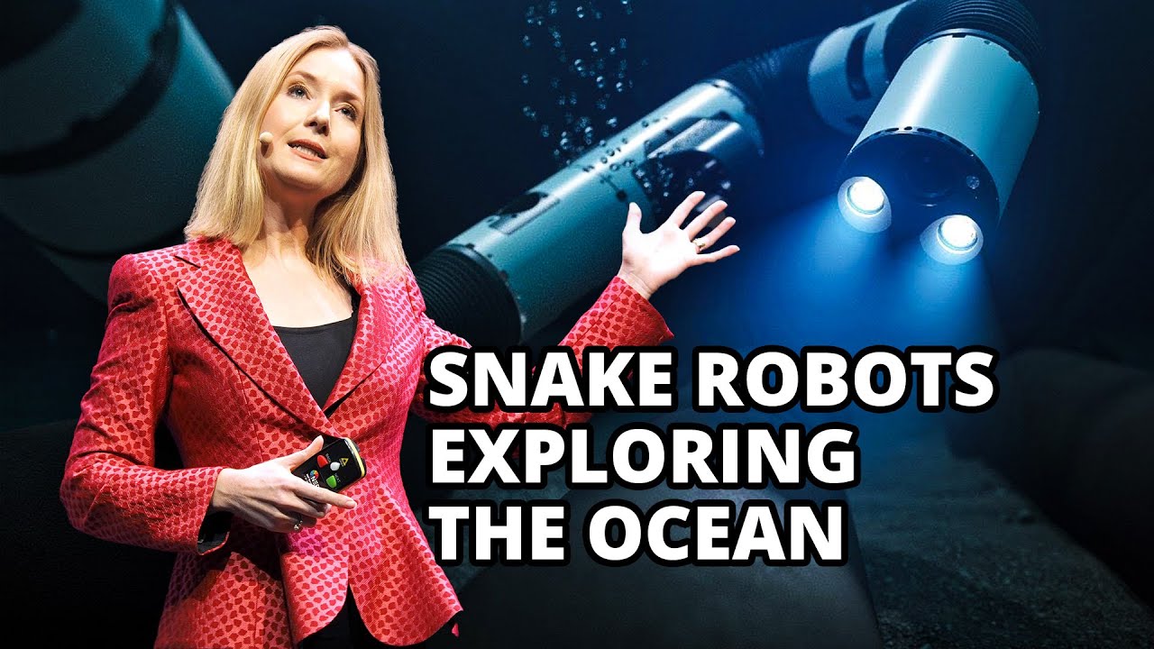 Snake Robots Exploring The Ocean | Kristin Y. Pettersen
