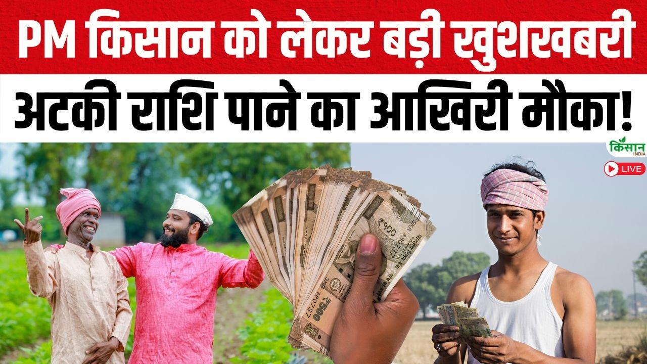 PM Kisan Latest News | PM Kisan 22वीं किस्त अपडेट: अटकी रकम पाने का आखिरी मौका!