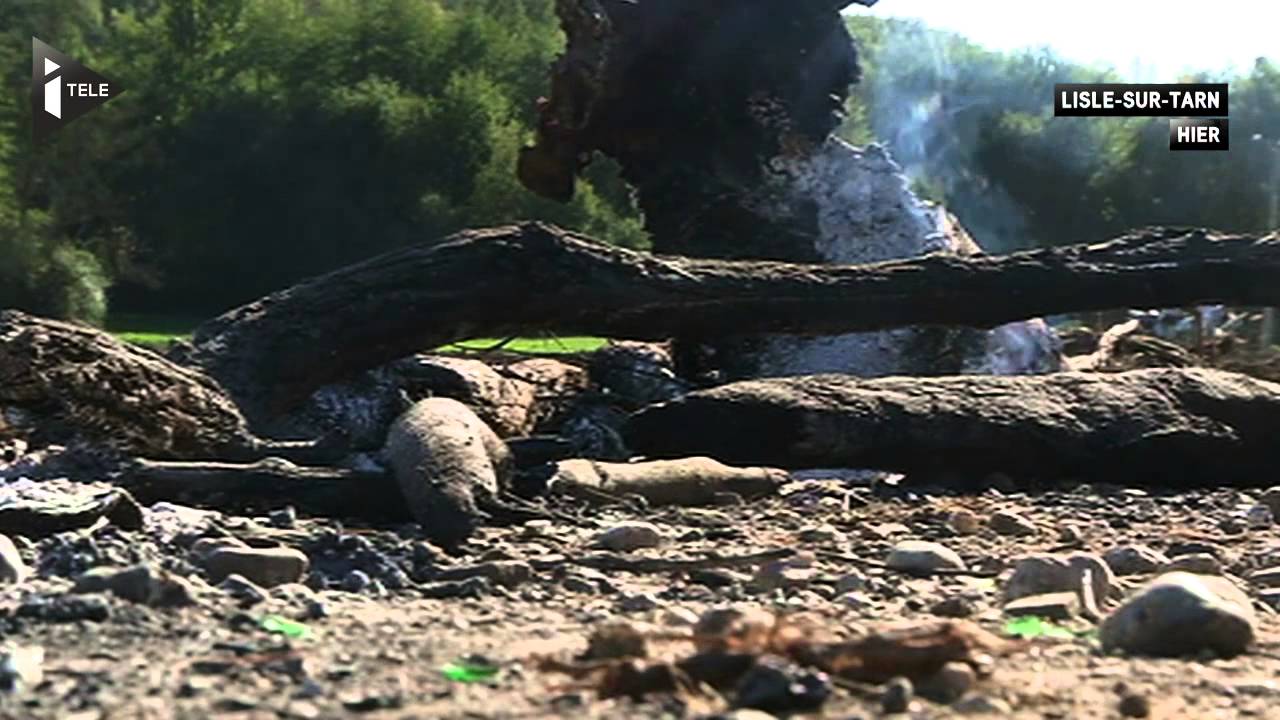 Mort de Rémi Fraisse: Gaillac sous tension