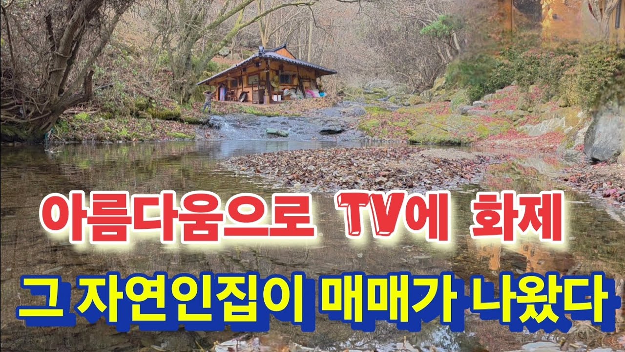 너무 아름다워 방송에 화제가 되었던 자연인집이 세상에 매매로 나왔다!