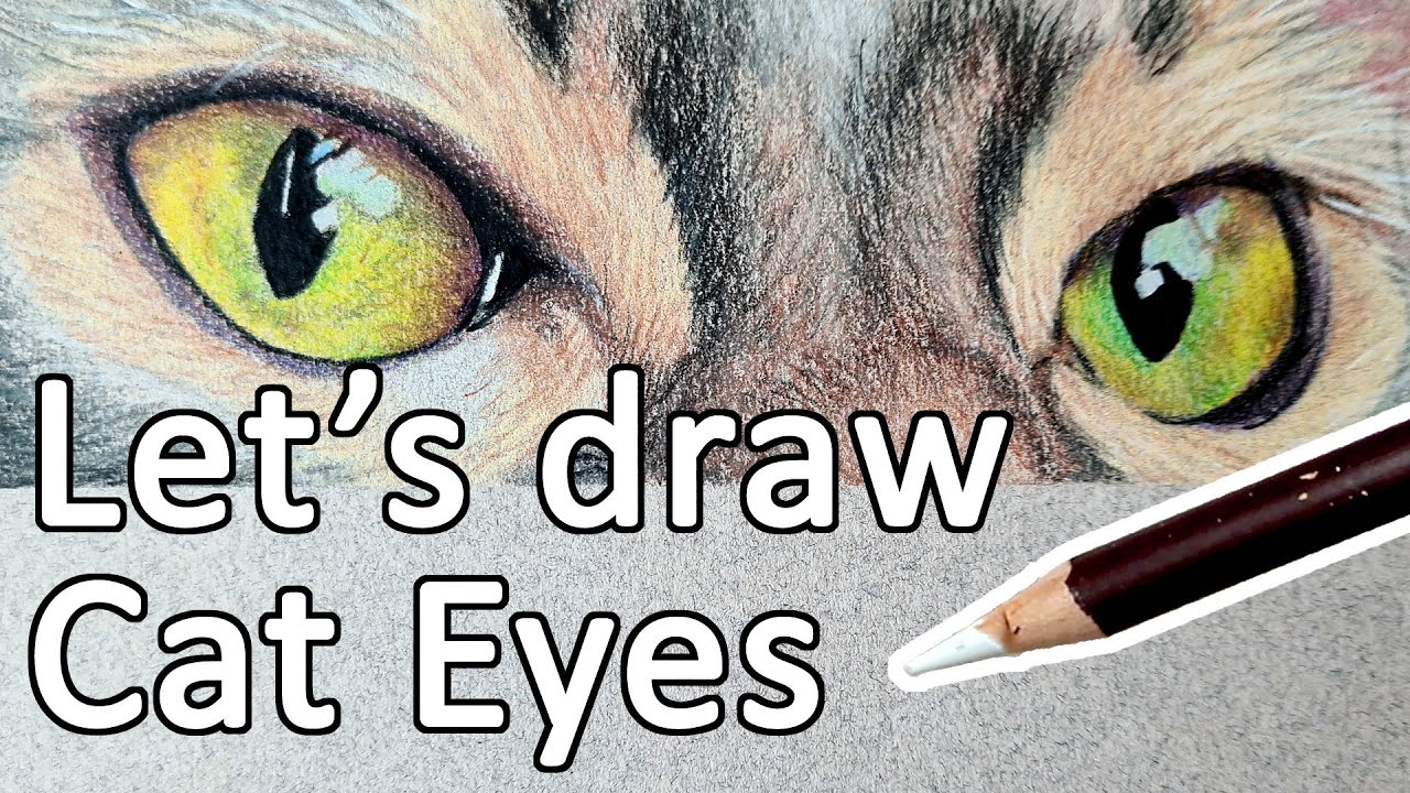LEARN TO DRAW - How to draw cat eyes with color pencil on Canson Mi-Teintes. Colour pencil tutorial