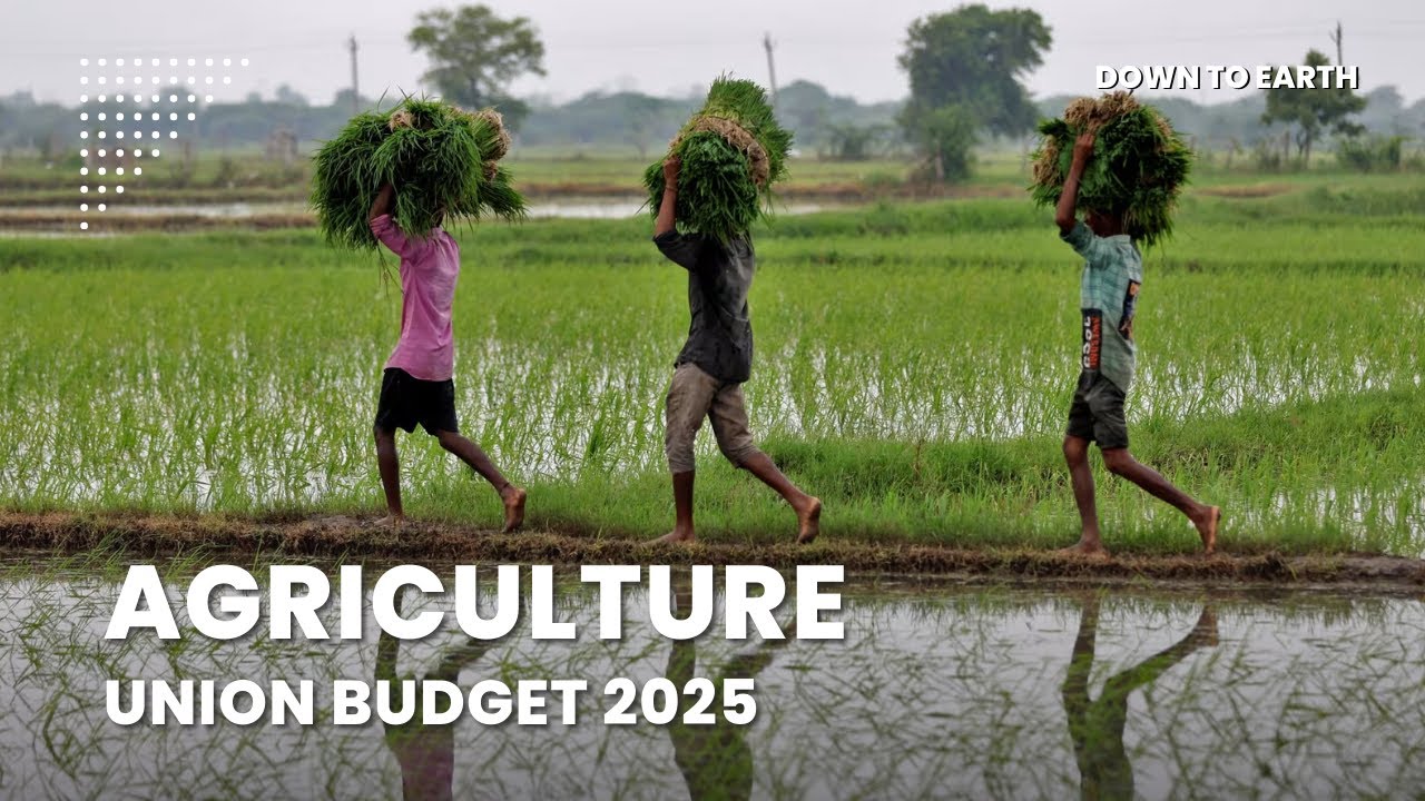Union Budget 2025 Highlights (Agriculture)