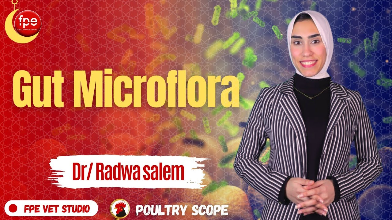 poultry scope ep5 | Gut microflora by Dr.Radwa salem