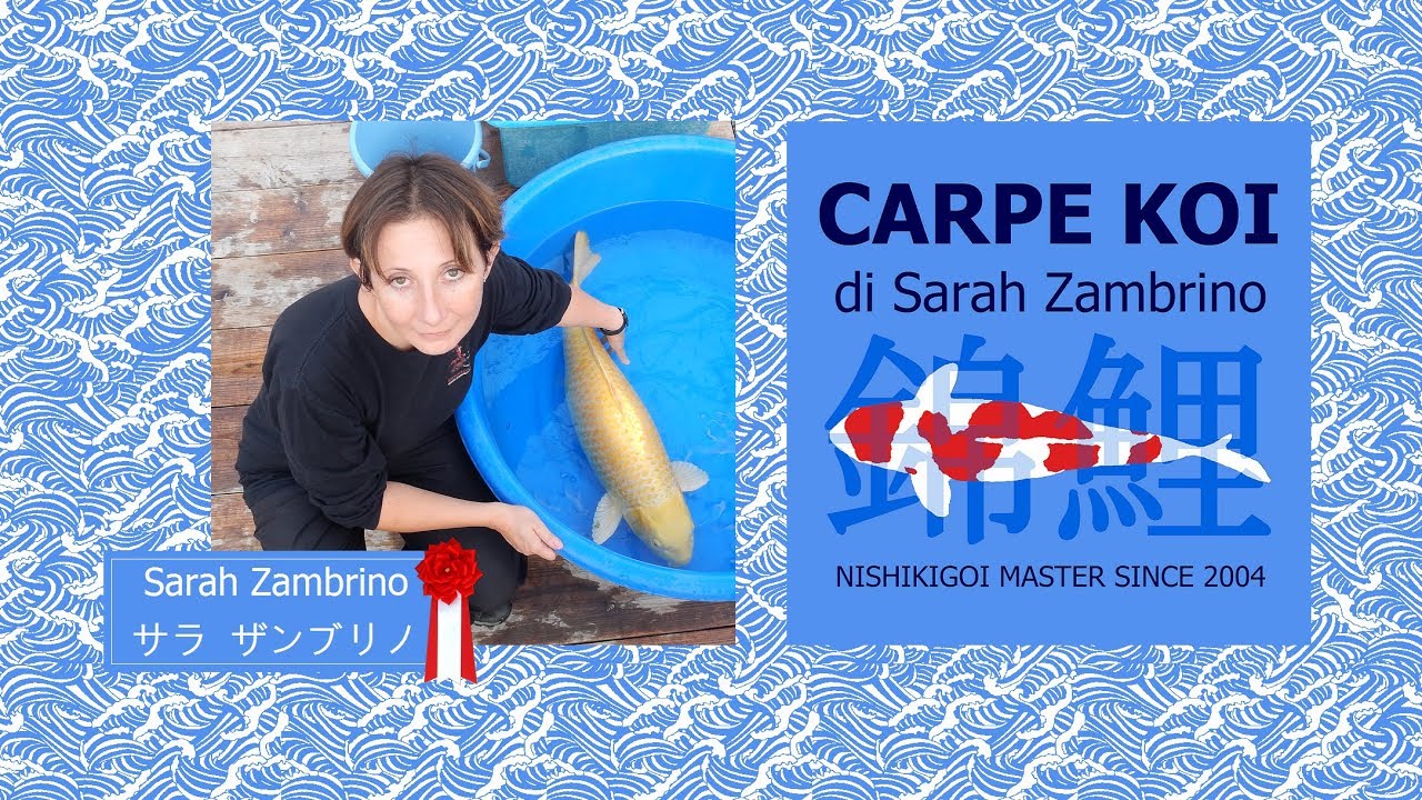 Intervista alla pluripremiata Sarah Zambrino di Carpe Koi - parte 1