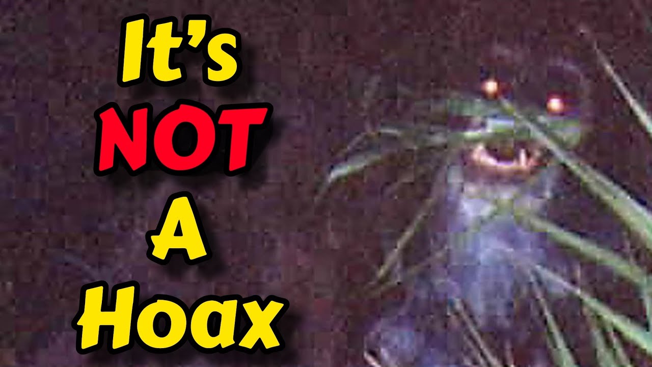 The Skunk Ape Photos That HORRIFIED Florida