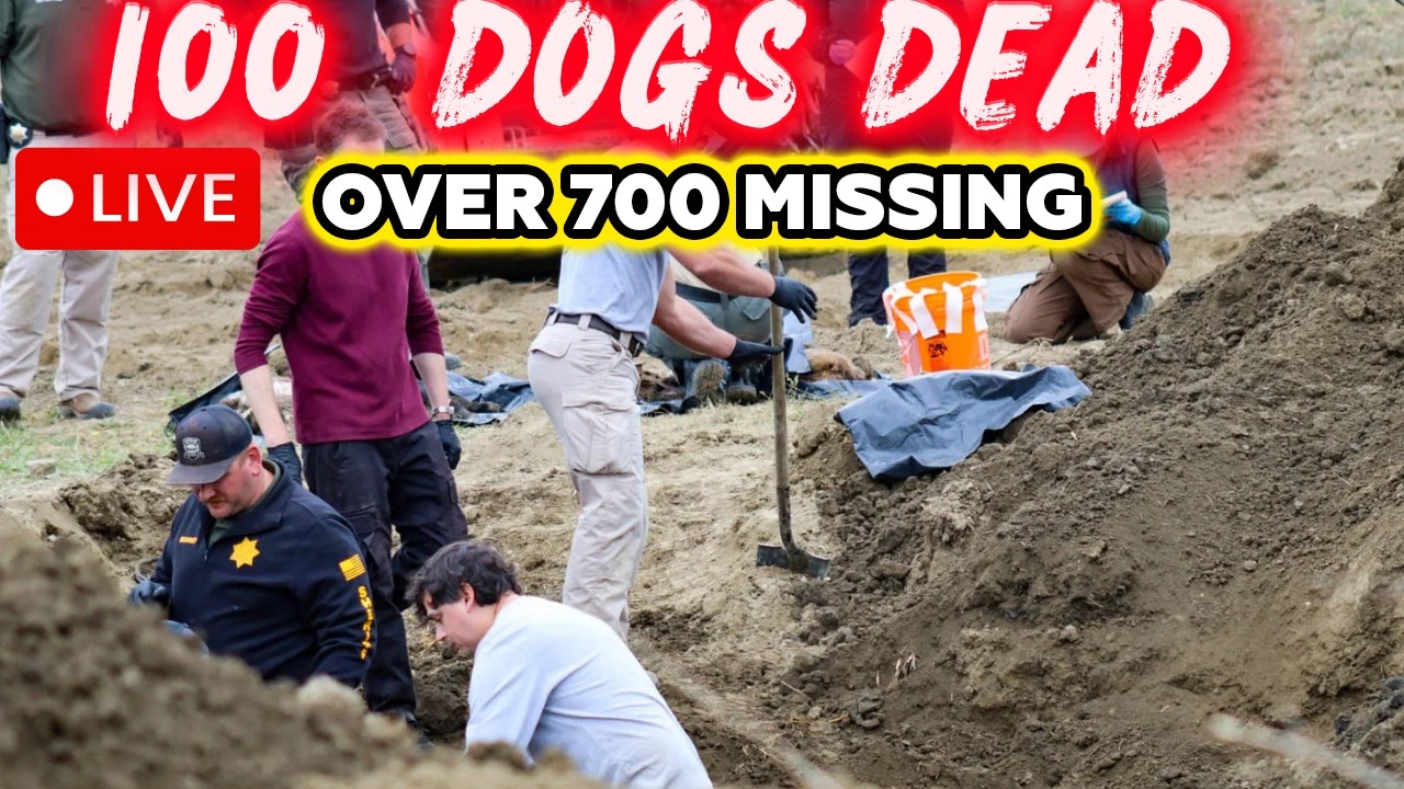 🔴BREAKING: 117 Dogs Found Shot Dead at California 