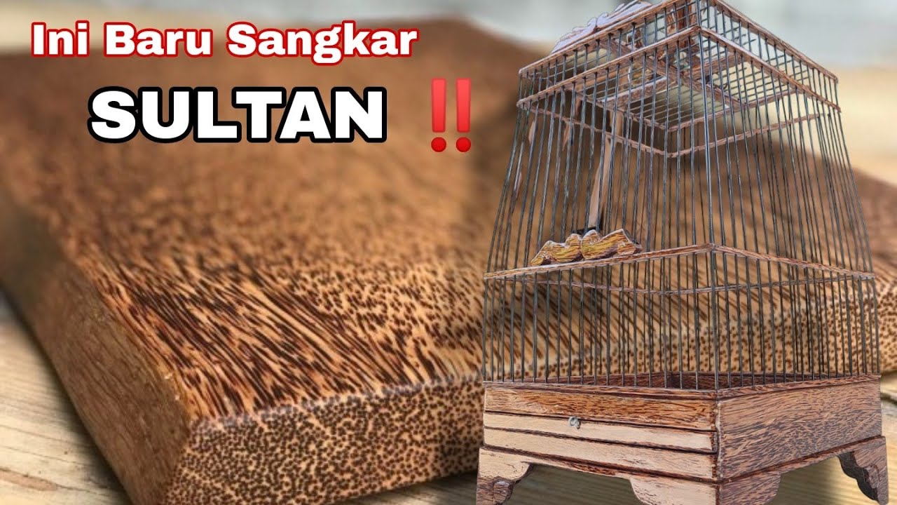 Tak di sangka Bakal SEMEWAH ini😱‼️ Sangkar Burung dr Kayu KELAPA👍