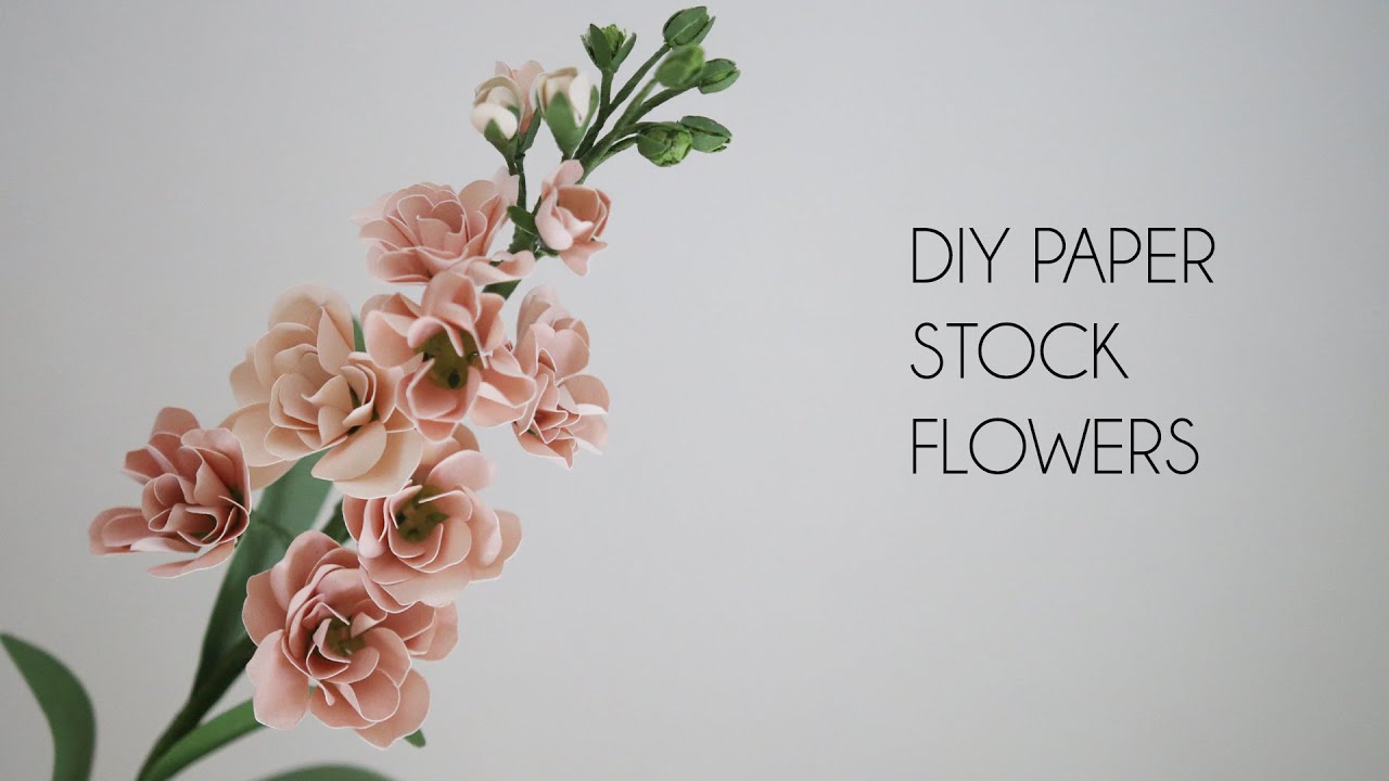 DIY How to make Paper Stock Flowers (Silhouette, Matthiola incana, hoary stock, crafts)