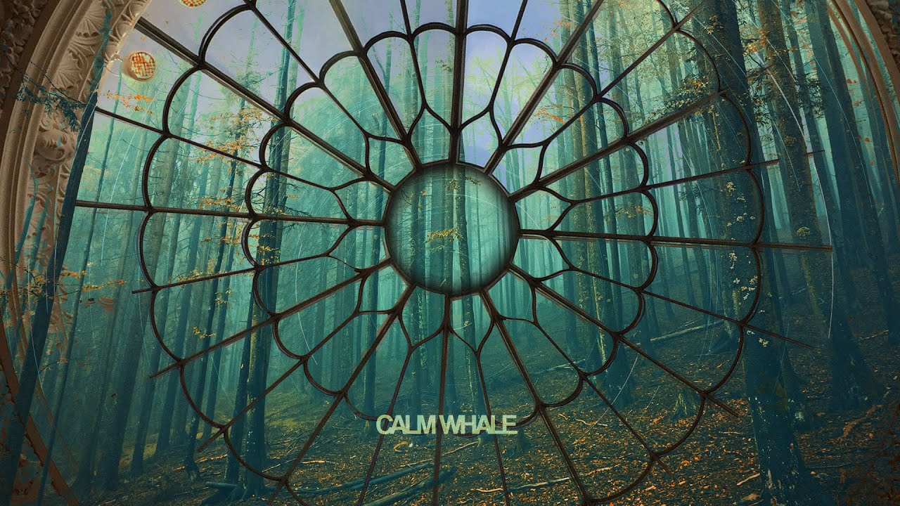 Celtic Forest - Enchanting Nature Sounds, Birds - Raw Nature Ambience - Steel Tongue Drum