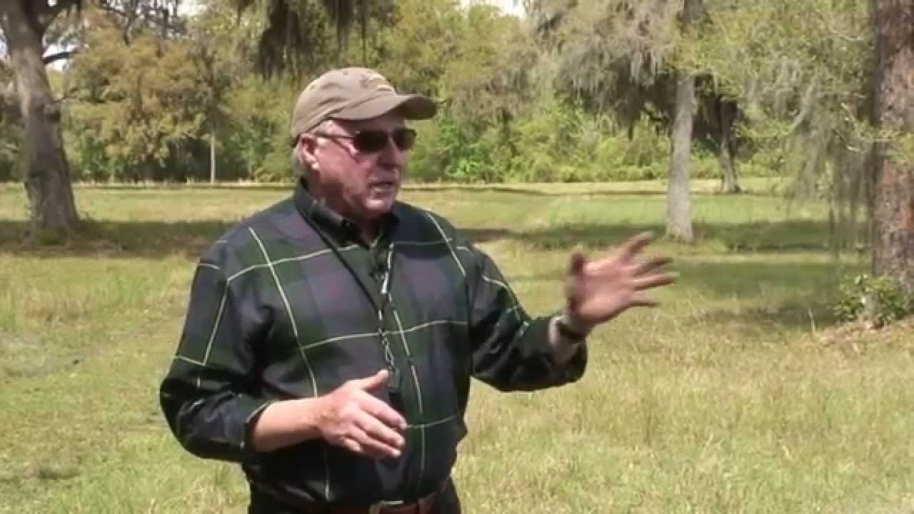 25 Essential Retriever Training Drills for Handling