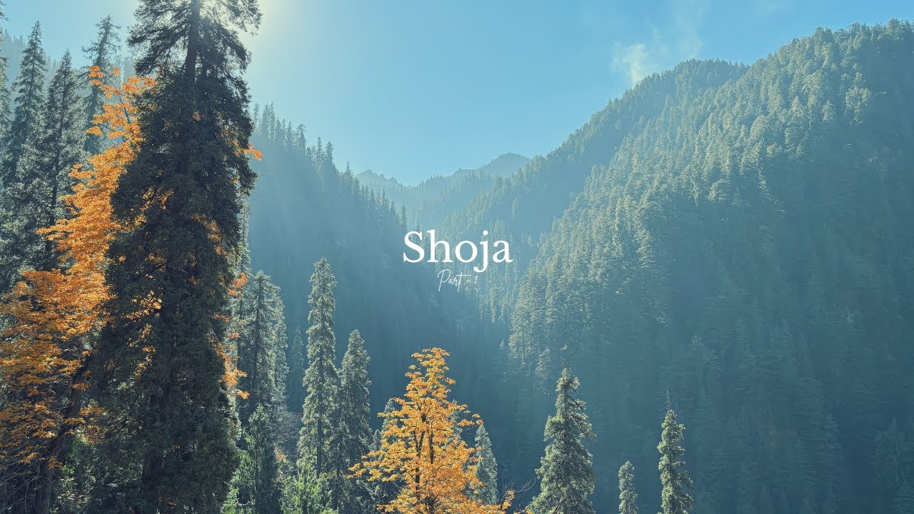 Trekking to a hidden waterfall in Shoja | Himachal series Ep.2