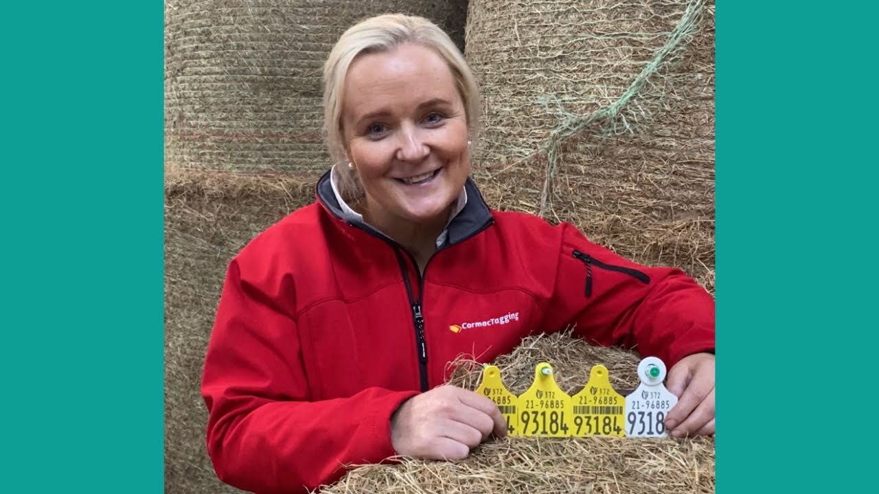 Calving Season 2022 - Quick message from Ursula Kelly