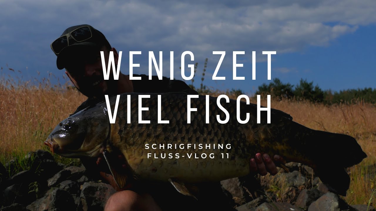 Fluss-Vlog 11 - Wenig Zeit viel Fisch - Schnell Karpfen im Fluss fangen - Karpfenangeln im Sommer