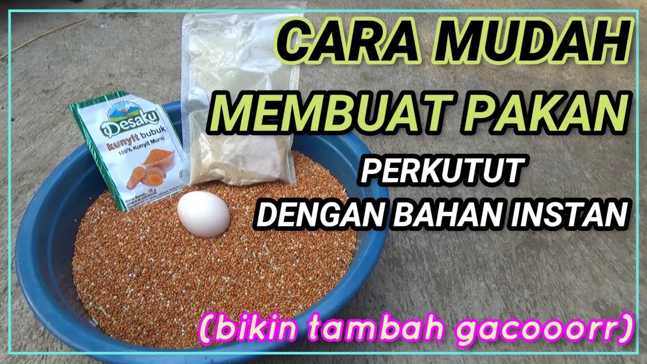 RACIKAN PAKAN PERKUTUT l BERBAHAN INSTAN, MUDAH,IRIT, BIKIN GACORRR-kututJawi
