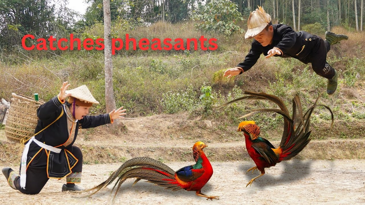 Dwarf family catches pheasants and harvests wild fruits in the forest - Dwarf survival