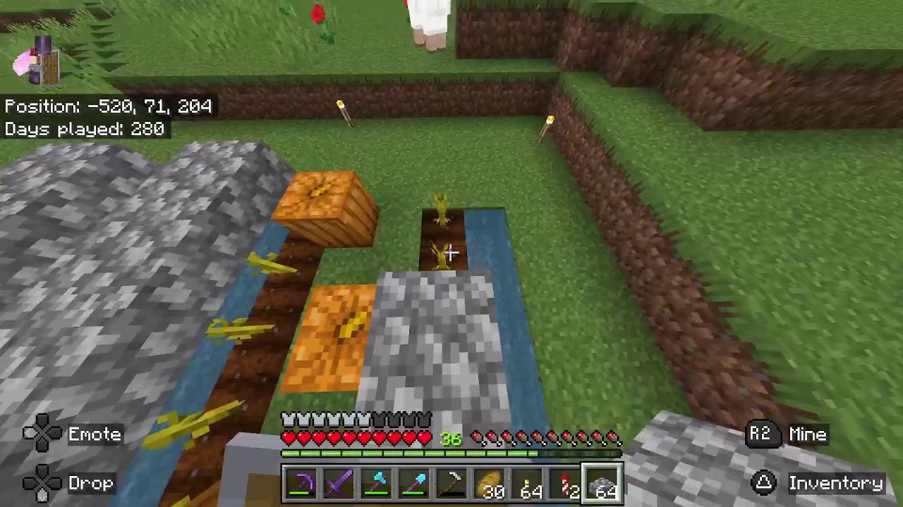 LIVE Minecraft survie avec loulou et capitaine