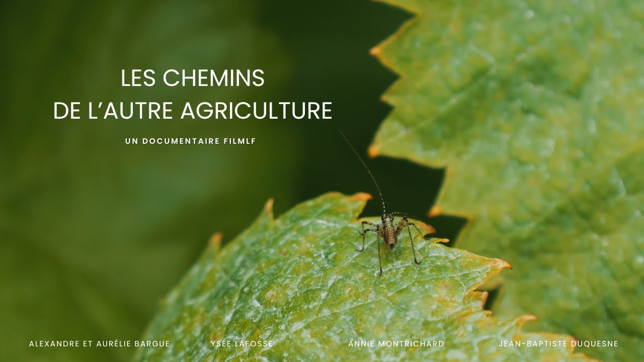 Les chemins de l'autre agriculture - Mini documentaire