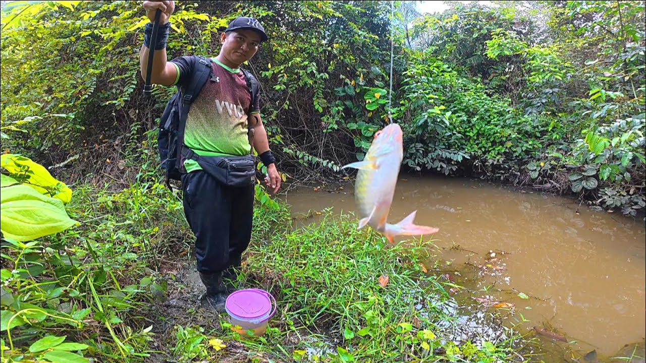 MEMANCING IKAN TURONGOU DI SPOT LAMA TERNYATA MASI BANYAK ISI NYA
