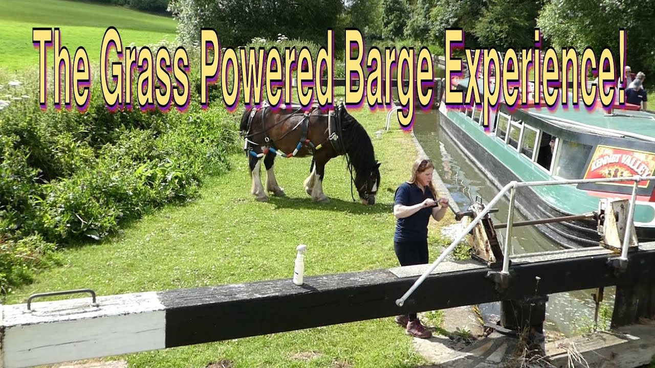 Horse Power on the Kennet & Avon Canal - Kintbury -10th July 2024