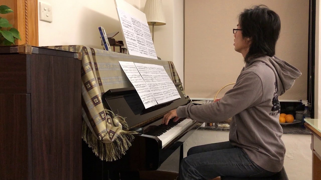 J.S. Bach: Concerto for 2 Violins in D Minor - 1st Movement - Piano Part [Fast Tempo]