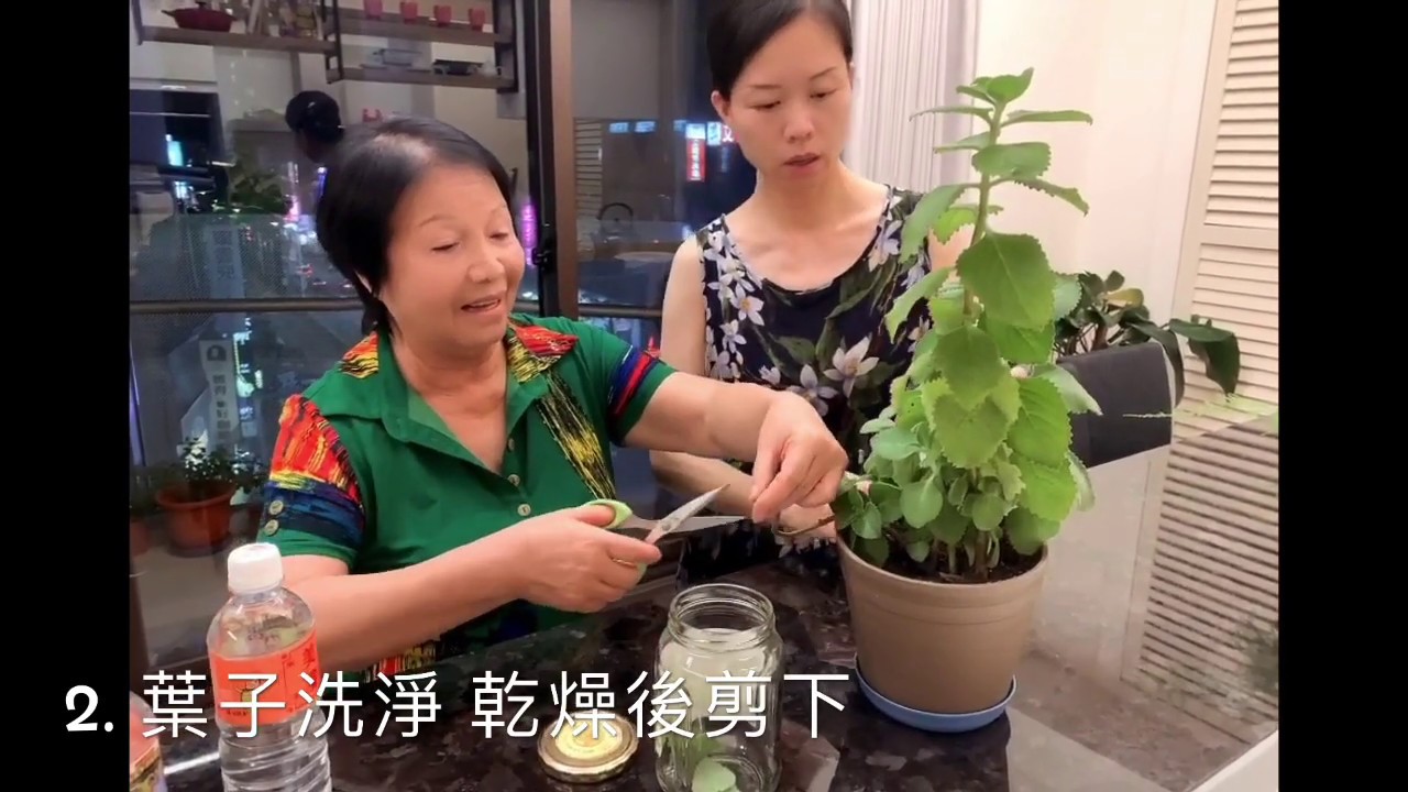 超簡單-左手香防蚊液