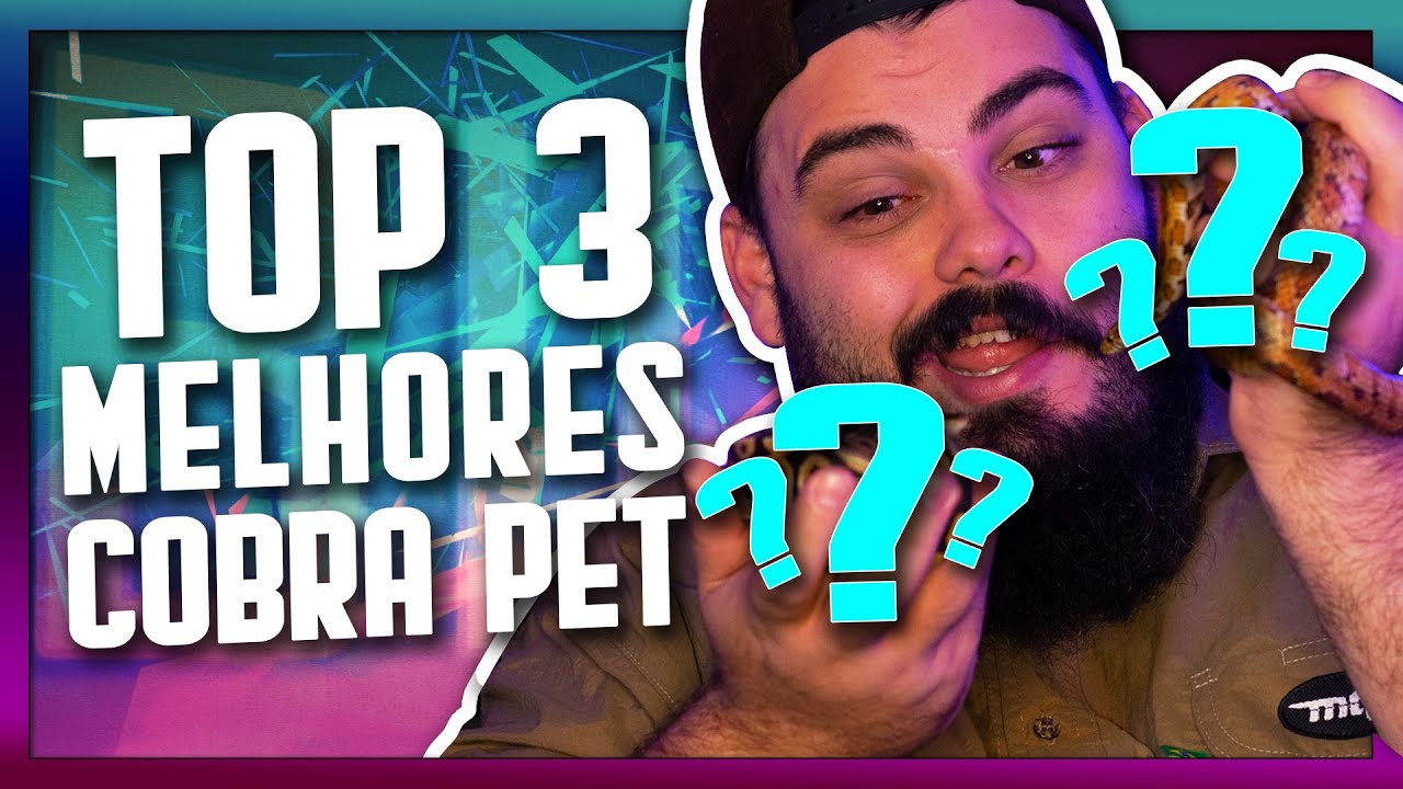 TOP 3 Cobras de estimação - AS MELHORES espécies de serpentes para ter como PET - Biólogo Tai