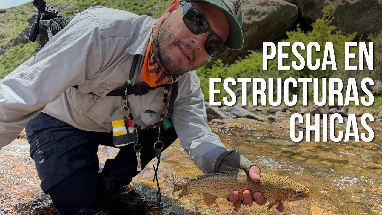 Cómo pescar truchas en arroyos chicos | Técnica, lectura y precisión
