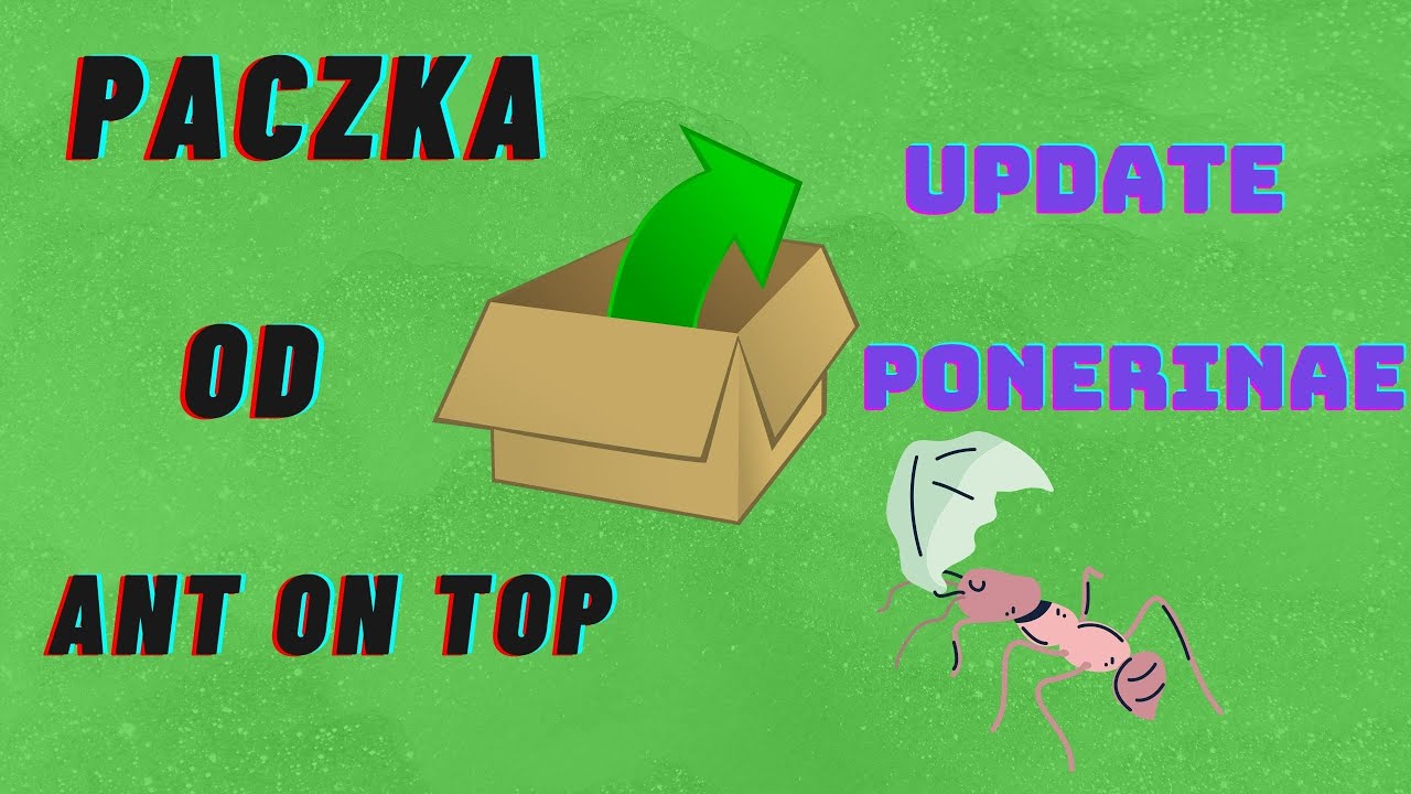 Paczka od Ant On Top + Update Ponerinae