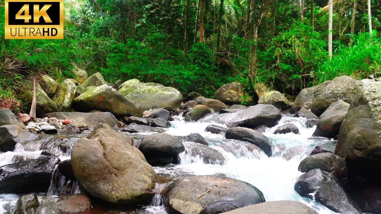 Tropical Forest Stream in 4K | Soothing Water Sounds for Deep Relaxation