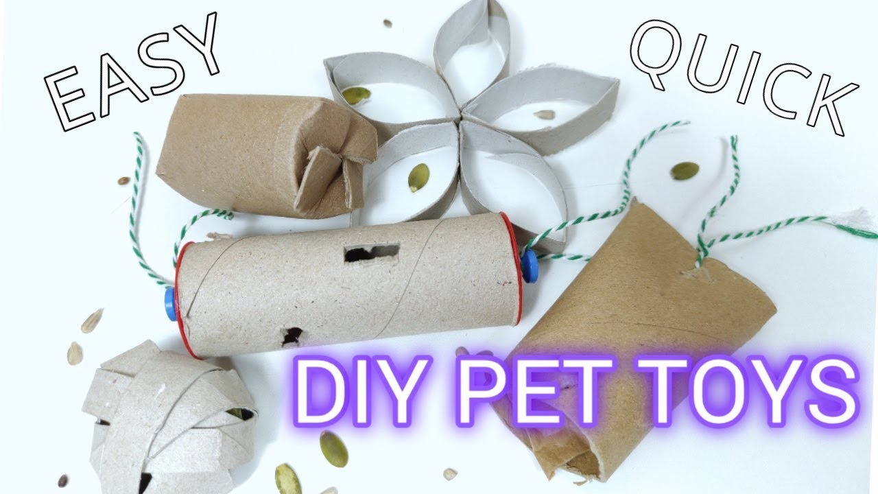 DIY Pet Toys With Toilet Rolls | DIY Pets & Life